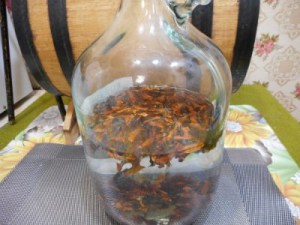 nastoyka-s-vodkoy