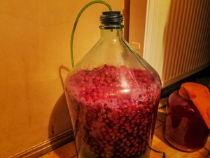 Самодельный способ приготовления вина